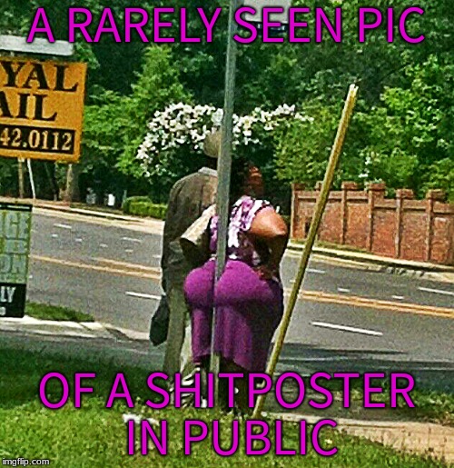A RARELY SEEN PIC OF A SHITPOSTER IN PUBLIC | image tagged in bus stop grimass | made w/ Imgflip meme maker