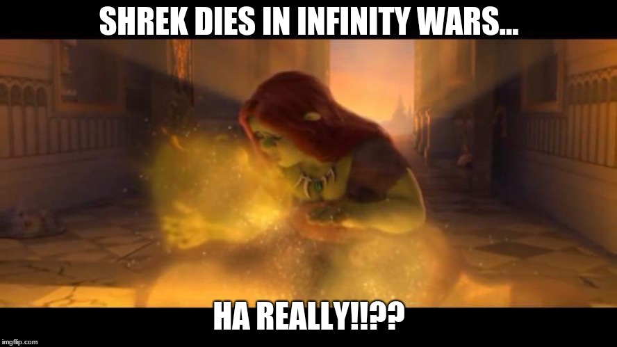 SHREK DIES IN INFINITY WARS... HA REALLY!!?? | image tagged in lol shreking | made w/ Imgflip meme maker