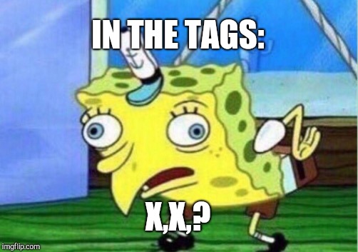 Mocking Spongebob Meme | IN THE TAGS: X,X,? | image tagged in memes,mocking spongebob | made w/ Imgflip meme maker