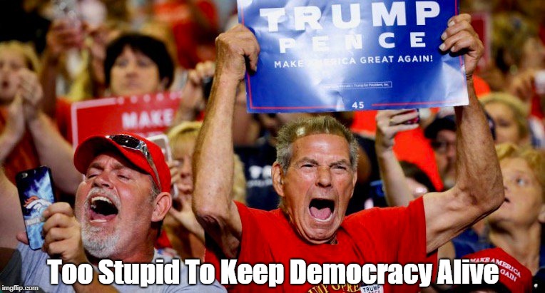 "Too Stupid To Keep Democracy Alive" | Too Stupid To Keep Democracy Alive | image tagged in white nationalists,white supremacists,trump,trumpistas,red necks,rednecks | made w/ Imgflip meme maker