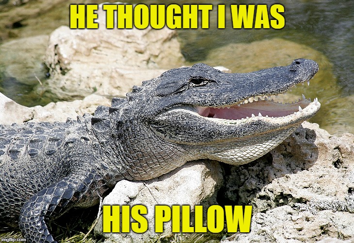 HE THOUGHT I WAS HIS PILLOW | made w/ Imgflip meme maker