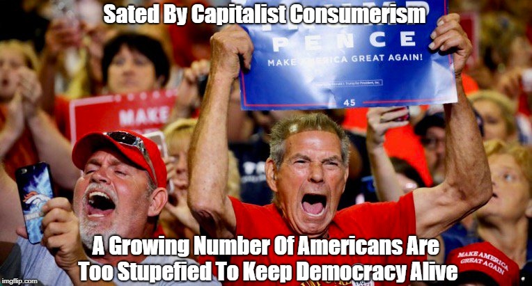 Sated By Capitalist Consumerism A Growing Number Of Americans Are Too Stupefied To Keep Democracy Alive | made w/ Imgflip meme maker