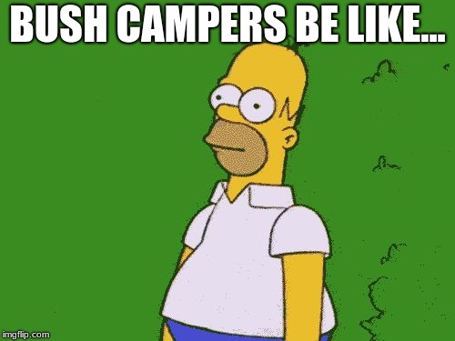 Fortnite BushCampers | BUSH CAMPERS BE LIKE... | image tagged in fortnite bushcampers | made w/ Imgflip meme maker