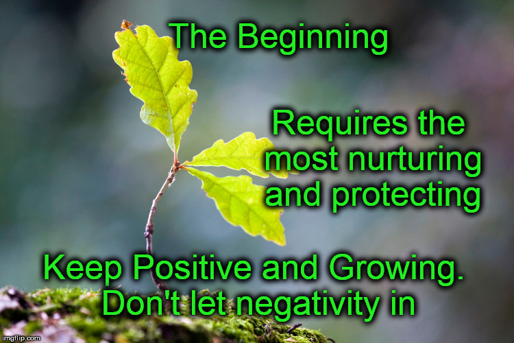The Beginning | The Beginning; Requires the most nurturing and protecting; Keep Positive and Growing. Don't let negativity in | image tagged in start,motivation,inspirational quote,focus,goals,life | made w/ Imgflip meme maker