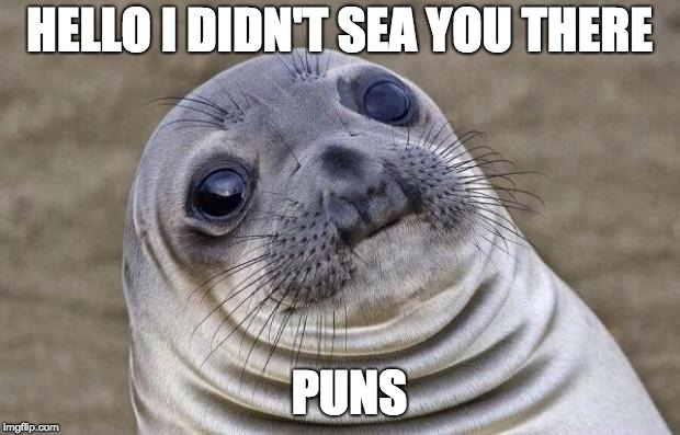 Awkward Moment Sealion | HELLO I DIDN'T SEA YOU THERE; PUNS | image tagged in memes,awkward moment sealion | made w/ Imgflip meme maker