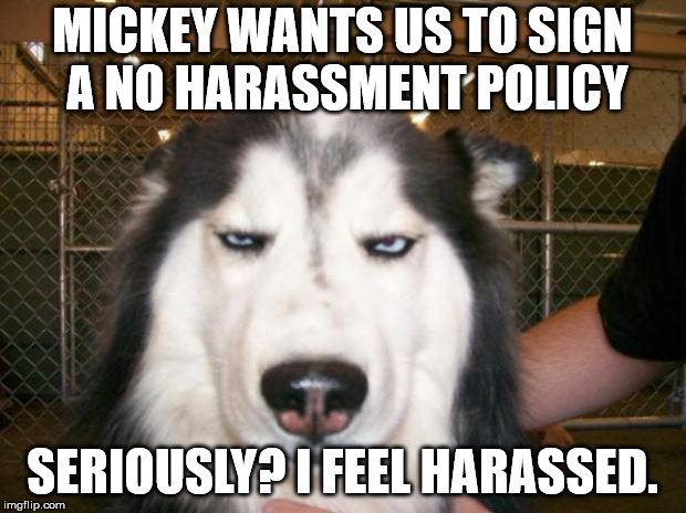 Annoyed Dog | MICKEY WANTS US TO SIGN A NO HARASSMENT POLICY; SERIOUSLY? I FEEL HARASSED. | image tagged in annoyed dog | made w/ Imgflip meme maker