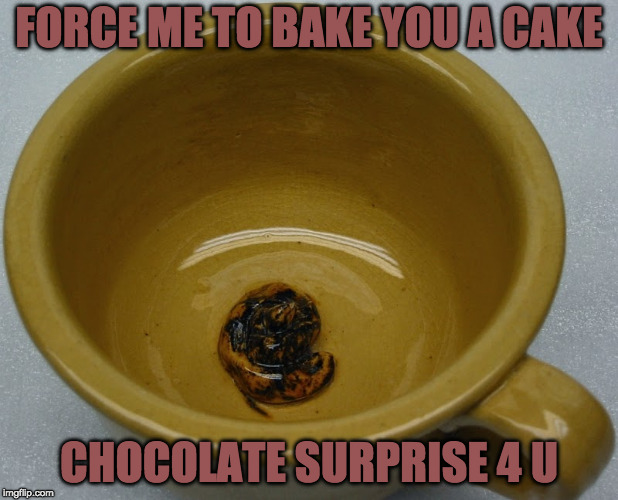 Chocolate Surprise Cake | FORCE ME TO BAKE YOU A CAKE; CHOCOLATE SURPRISE 4 U | image tagged in liberals,scotus,gay marriage,idiots | made w/ Imgflip meme maker