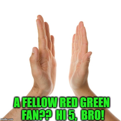 A FELLOW RED GREEN FAN??  HI 5,  BRO! | made w/ Imgflip meme maker