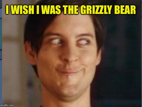I WISH I WAS THE GRIZZLY BEAR | made w/ Imgflip meme maker