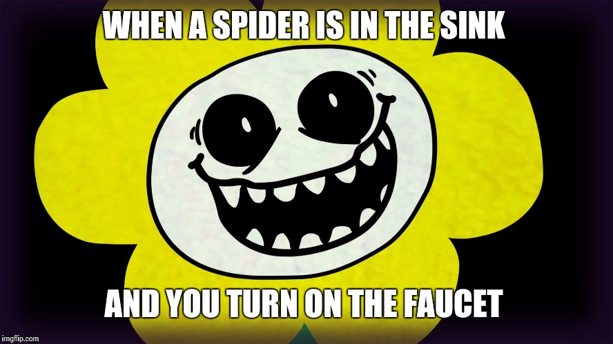Who else? | WHEN A SPIDER IS IN THE SINK; AND YOU TURN ON THE FAUCET | image tagged in undertale,flowey,spiders | made w/ Imgflip meme maker