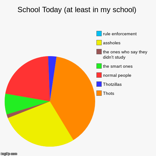 School Today (at least in my school) | Thots, Thotzillas, normal people, the smart ones, the ones who say they didn't study, assholes, rule  | image tagged in funny,pie charts | made w/ Imgflip chart maker