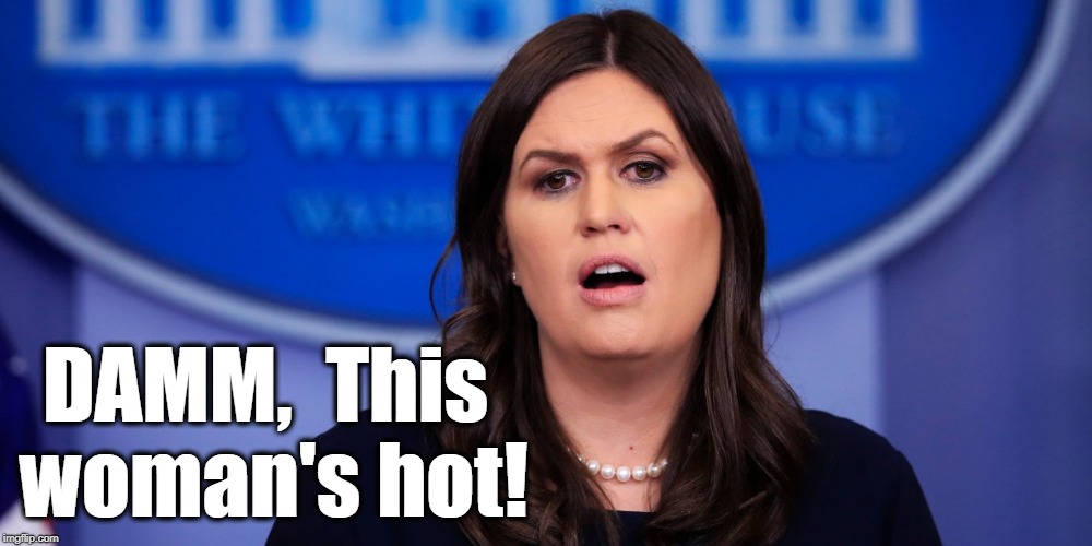 DAMM, This woman's hot! image tagged in sarah huckabee sanders,fine as...