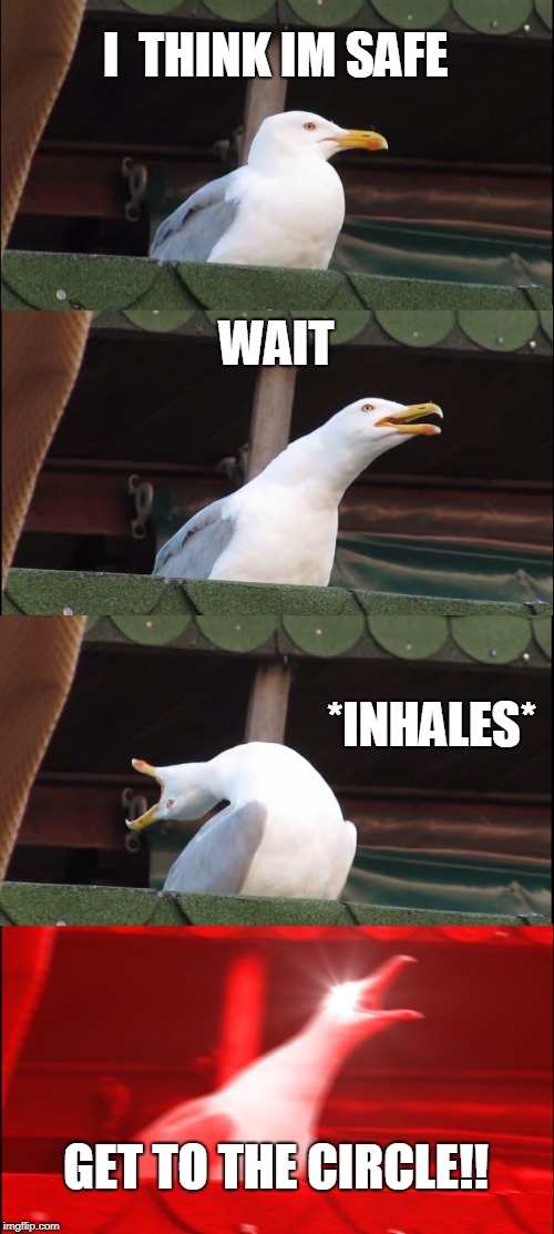 Fortnite | I  THINK IM SAFE; WAIT; *INHALES*; GET TO THE CIRCLE!! | image tagged in memes,inhaling seagull,fortnite | made w/ Imgflip meme maker