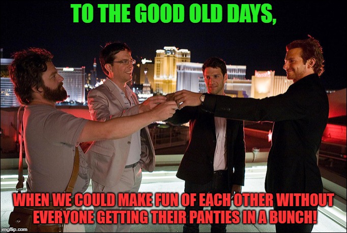 The Hangover Cheers | TO THE GOOD OLD DAYS, WHEN WE COULD MAKE FUN OF EACH OTHER WITHOUT EVERYONE GETTING THEIR PANTIES IN A BUNCH! | image tagged in the hangover cheers | made w/ Imgflip meme maker