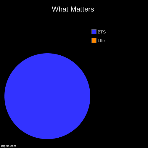 What Matters | LIfe, BTS | image tagged in funny,pie charts | made w/ Imgflip chart maker