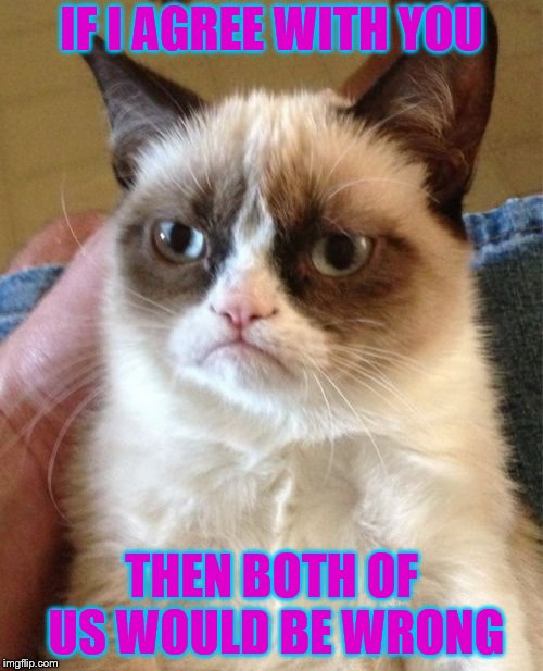 Grumpy Cat Meme | IF I AGREE WITH YOU; THEN BOTH OF US WOULD BE WRONG | image tagged in memes,grumpy cat | made w/ Imgflip meme maker