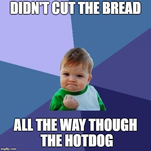 Success Kid | DIDN'T CUT THE BREAD; ALL THE WAY THOUGH THE HOTDOG | image tagged in memes,success kid | made w/ Imgflip meme maker