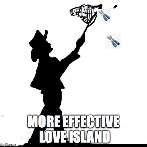 love island... yeet | MORE EFFECTIVE LOVE ISLAND | image tagged in healthcare,mental health,butterfly | made w/ Imgflip meme maker