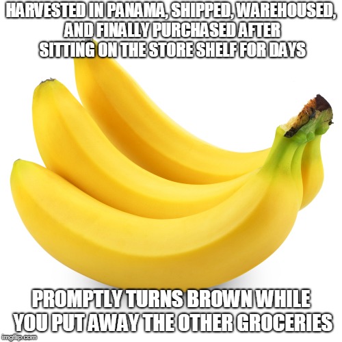 Bananas | HARVESTED IN PANAMA, SHIPPED, WAREHOUSED, AND FINALLY PURCHASED AFTER SITTING ON THE STORE SHELF FOR DAYS; PROMPTLY TURNS BROWN WHILE YOU PUT AWAY THE OTHER GROCERIES | image tagged in bananas | made w/ Imgflip meme maker