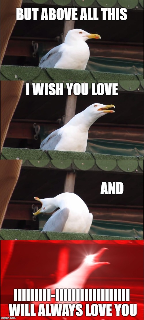 Inhaling Seagull Meme | BUT ABOVE ALL THIS I WISH YOU LOVE AND IIIIIIIII-IIIIIIIIIIIIIIIIII WILL ALWAYS LOVE YOU | image tagged in memes,inhaling seagull | made w/ Imgflip meme maker