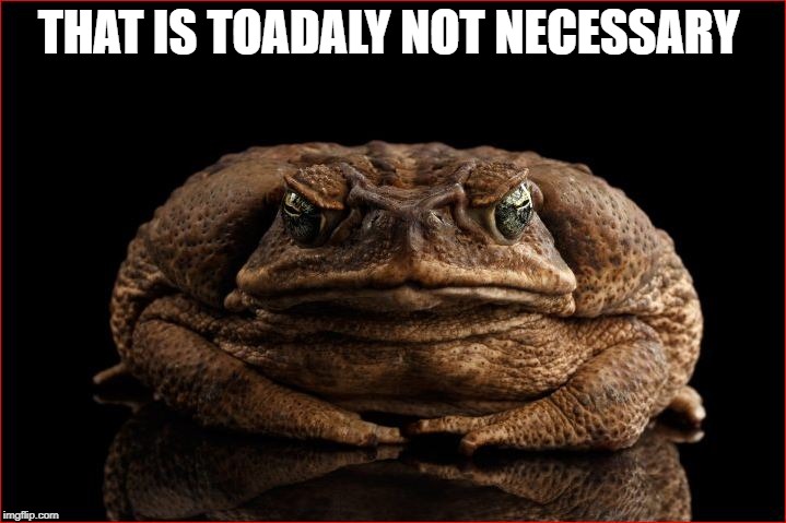 THAT IS TOADALY NOT NECESSARY | made w/ Imgflip meme maker