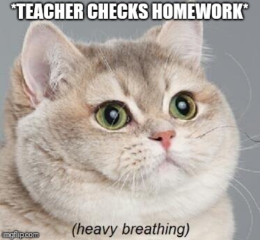Heavy Breathing Cat | *TEACHER CHECKS HOMEWORK* | image tagged in memes,heavy breathing cat | made w/ Imgflip meme maker