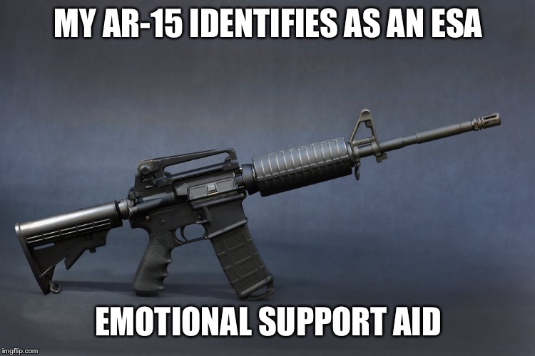 AR-15 | MY AR-15 IDENTIFIES AS AN ESA; EMOTIONAL SUPPORT AID | image tagged in ar-15 | made w/ Imgflip meme maker