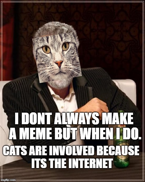 The Most Interesting Man In The World Meme | I DONT ALWAYS MAKE A MEME BUT WHEN I DO. CATS ARE INVOLVED BECAUSE ITS THE INTERNET | image tagged in memes,the most interesting man in the world | made w/ Imgflip meme maker