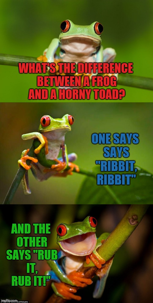 Frog Week, June 4-10, a JBmemegeek & giveuahint event! | WHAT'S THE DIFFERENCE BETWEEN A FROG AND A HORNY TOAD? ONE SAYS SAYS "RIBBIT, RIBBIT"; AND THE OTHER SAYS "RUB IT, RUB IT!" | image tagged in frog puns,jbmemegeek,frog week,bad puns,giveuahint,frogs | made w/ Imgflip meme maker