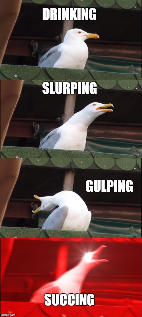 Inhaling Seagull | DRINKING; SLURPING; GULPING; SUCCING | image tagged in memes,inhaling seagull | made w/ Imgflip meme maker