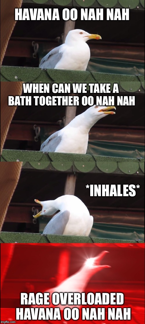 When can we take a bath together Havana oo nah nah | HAVANA OO NAH NAH; WHEN CAN WE TAKE A BATH TOGETHER OO NAH NAH; *INHALES*; RAGE OVERLOADED HAVANA OO NAH NAH | image tagged in memes,inhaling seagull,lmao,funnymemes,fortnite,hot | made w/ Imgflip meme maker