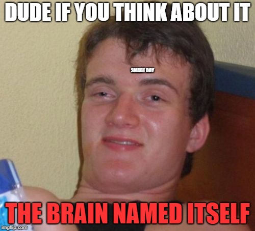 10 Guy Meme | DUDE IF YOU THINK ABOUT IT; SMART BOY; THE BRAIN NAMED ITSELF | image tagged in memes,10 guy | made w/ Imgflip meme maker