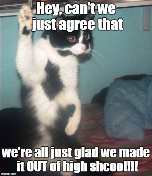 question cat | Hey, can't we just agree that; we're all just glad we made it OUT of high shcool!!! | image tagged in question cat | made w/ Imgflip meme maker