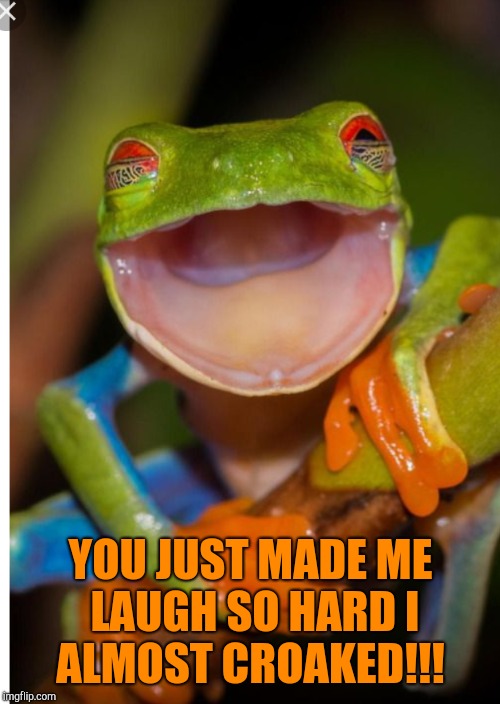 YOU JUST MADE ME LAUGH SO HARD I ALMOST CROAKED!!! | made w/ Imgflip meme maker