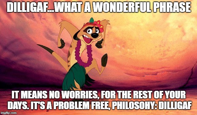 Timon Lion King Hula | DILLIGAF...WHAT A WONDERFUL PHRASE; IT MEANS NO WORRIES, FOR THE REST OF YOUR DAYS. IT'S A PROBLEM FREE, PHILOSOHY: DILLIGAF | image tagged in timon lion king hula | made w/ Imgflip meme maker
