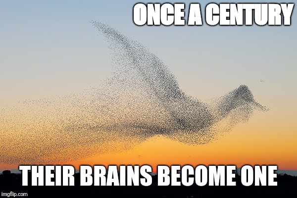 ONCE A CENTURY THEIR BRAINS BECOME ONE | made w/ Imgflip meme maker