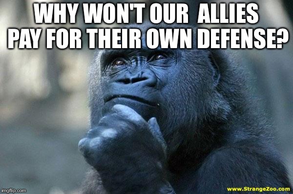 Deep Thoughts | WHY WON'T OUR  ALLIES PAY FOR THEIR OWN DEFENSE? | image tagged in deep thoughts | made w/ Imgflip meme maker