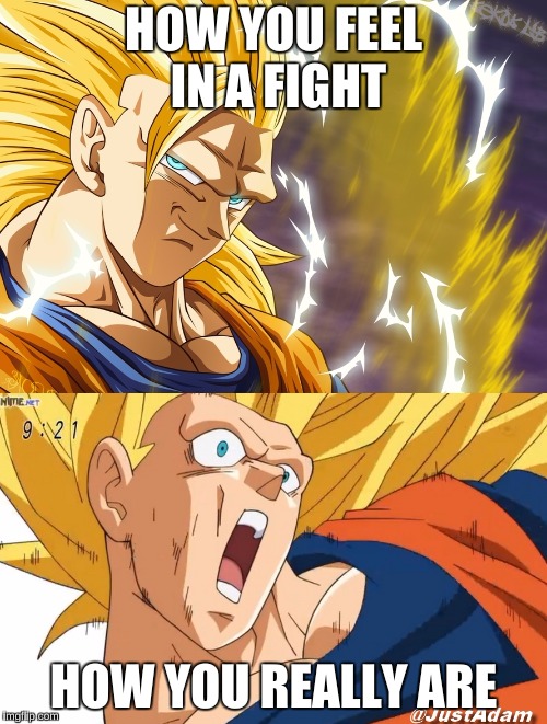 dragon ball super | HOW YOU FEEL IN A FIGHT; HOW YOU REALLY ARE | image tagged in dragon ball super | made w/ Imgflip meme maker