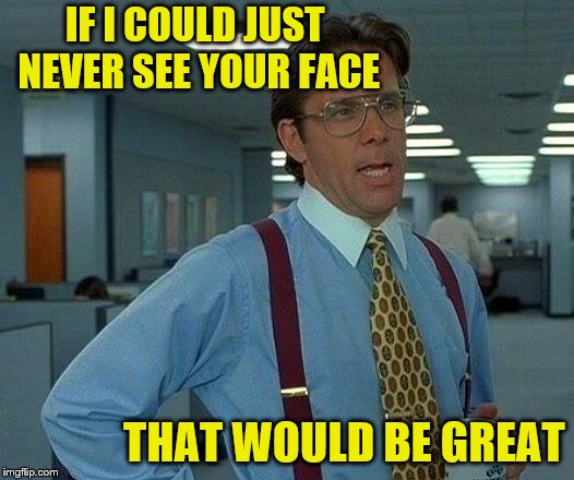 That Would Be Great Meme | IF I COULD JUST NEVER SEE YOUR FACE THAT WOULD BE GREAT | image tagged in memes,that would be great | made w/ Imgflip meme maker