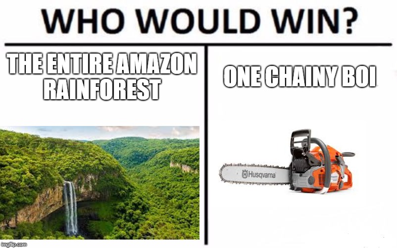 Who Would Win? | THE ENTIRE AMAZON RAINFOREST; ONE CHAINY BOI | image tagged in memes,who would win | made w/ Imgflip meme maker