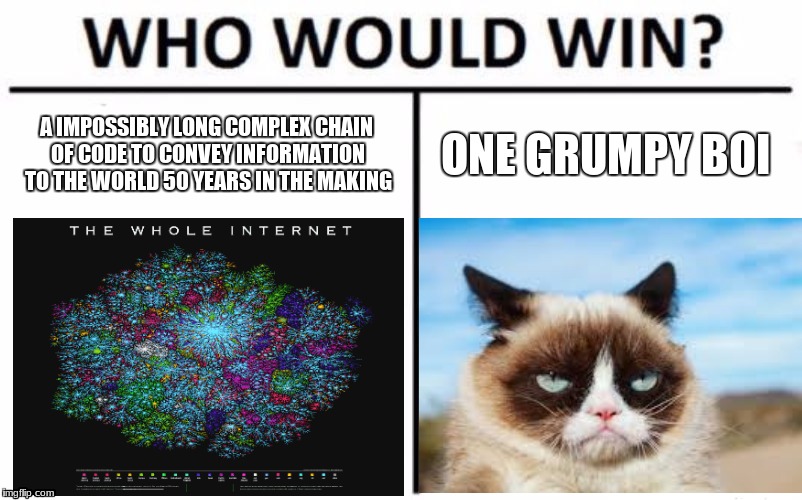 Too Late | A IMPOSSIBLY LONG COMPLEX CHAIN OF CODE TO CONVEY INFORMATION TO THE WORLD 50 YEARS IN THE MAKING; ONE GRUMPY BOI | image tagged in grumpy cat,who would win | made w/ Imgflip meme maker