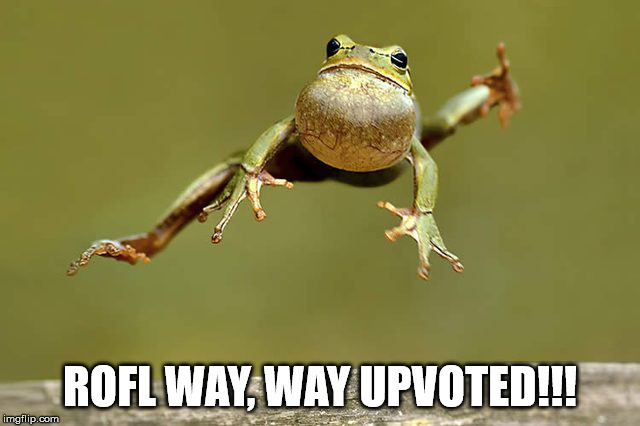 ROFL WAY, WAY UPVOTED!!! | image tagged in frog week | made w/ Imgflip meme maker