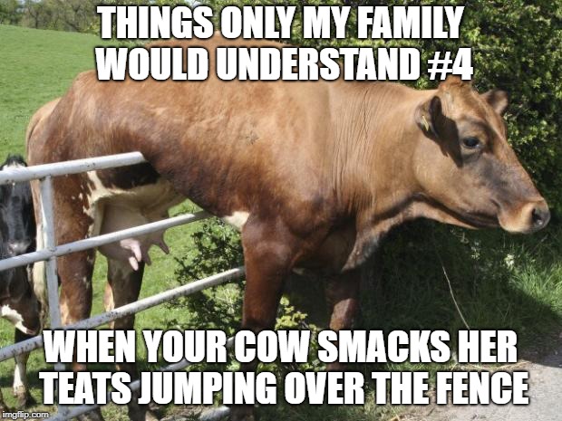 Cow | THINGS ONLY MY FAMILY WOULD UNDERSTAND #4; WHEN YOUR COW SMACKS HER TEATS JUMPING OVER THE FENCE | image tagged in cow | made w/ Imgflip meme maker