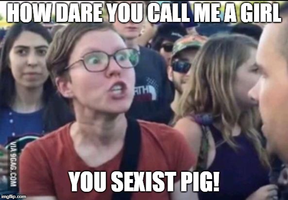 Femenist stereotype | HOW DARE YOU CALL ME A GIRL; YOU SEXIST PIG! | image tagged in femenist stereotype | made w/ Imgflip meme maker