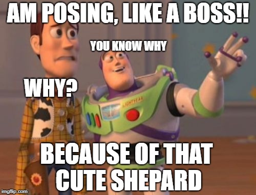 X, X Everywhere | AM POSING, LIKE A BOSS!! YOU KNOW WHY; WHY? BECAUSE OF THAT CUTE SHEPARD | image tagged in memes,x x everywhere | made w/ Imgflip meme maker