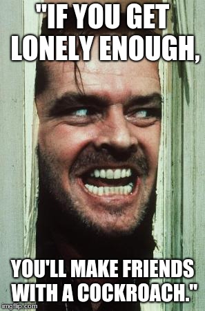 Here's Johnny Meme | "IF YOU GET LONELY ENOUGH, YOU'LL MAKE FRIENDS WITH A COCKROACH." | image tagged in memes,heres johnny | made w/ Imgflip meme maker