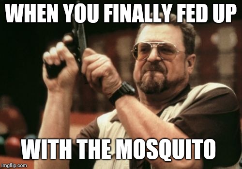 Am I The Only One Around Here | WHEN YOU FINALLY FED UP; WITH THE MOSQUITO | image tagged in memes,am i the only one around here | made w/ Imgflip meme maker