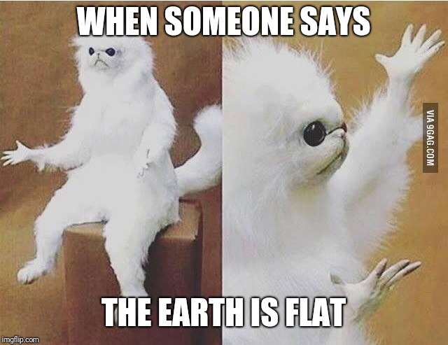 Art thou a dumbass?  | WHEN SOMEONE SAYS; THE EARTH IS FLAT | image tagged in confused white monkey,flat earth,flat earthers,funny,confused | made w/ Imgflip meme maker