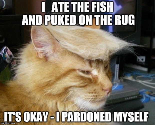 Trump cat | I   ATE THE FISH AND PUKED ON THE RUG; IT'S OKAY - I PARDONED MYSELF | image tagged in trump cat,AdviceAnimals | made w/ Imgflip meme maker