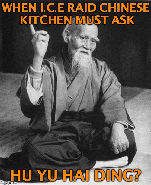 Confucius says  | WHEN I.C.E RAID CHINESE KITCHEN MUST ASK; HU YU HAI DING? | image tagged in confucius says,illegal immigrant | made w/ Imgflip meme maker